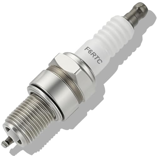 ZAMDOE F6RTC Zündkerze für Rasenmäher, Motorrad, Auto für NGK BPR6ES BP6ES für Torch F6TC für Champion RN9YC RN10YC für MTD 951-10292 751-10292 für Bosch WR6DC WR7DC für Honda Gx160 Gx200 GX270 Gx390