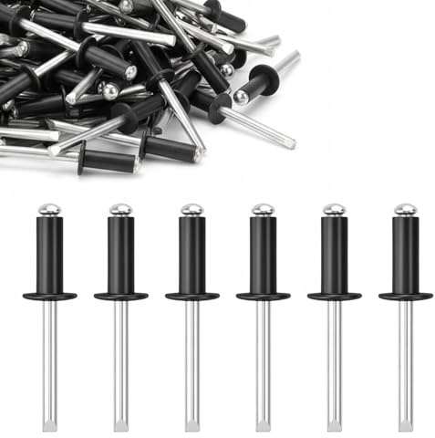 50 stycken blindnitar 4,8 x 20 mm – stort huvud nitar, svartlackerad – med ståldorn för blinda nitar – för metall, trä, plast, bil och möbelkonstruktion