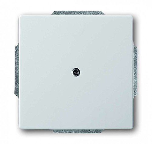 Busch-Jaeger, 1742-866, Piastra di copertura cieca