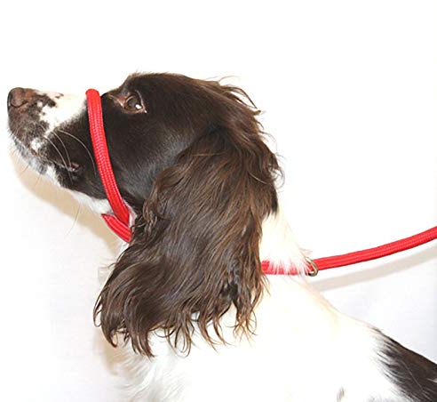 Dog & Field Figure 8 Anti Pull Lead/Halter/Head Collar - One Size Fits All - Soft Braided Nylon - Comfortable, Supple, Secure and Proven to Make Your Walks More Enjoyable - No More Pulling! (Red)