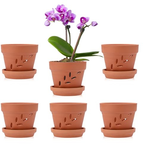 OLegei 6pcs Pots de Fleurs en Terre Cuite avec Trous et soucoupes Petits Pots pour Plante à l’extérieur et à l’intérieur 10 x 8 cm (Style 2)
