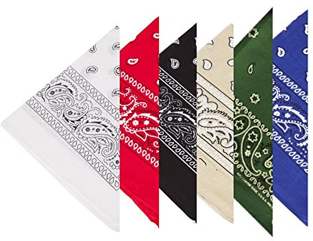 BOOLAVARD 100% Cotton 6pcs Pack Bandanas with Original Paisley Pattern Colour of Choice Headwear/Hair (6 Set)