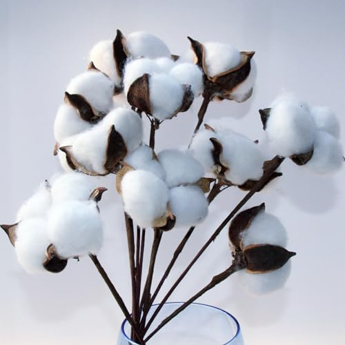 LATRAT 10 rami di fiori artificiali decorativi in cotone naturale per balcone, casa, tavolo, composizione floreale