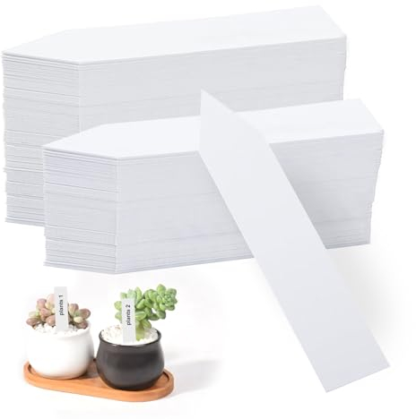 Lot de 200 étiquettes pour plantes à étiqueter - En plastique - Pour l'extérieur - Résistant aux intempéries - 10 x 2 cm