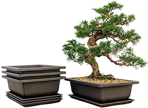 Bonsai Outlet Training Pots with Humidity Trays - Built in Mesh, Brown 8-Inch Large Planters + Made from Durable Shatter Proof Poly-Resin, Set of 3 Pot Set