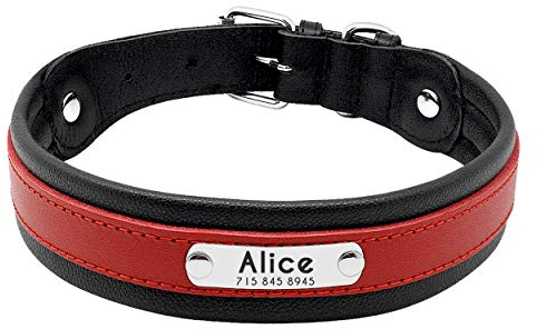 Pet Artist Hundehalsband aus Leder, mit Namensschild, personalisierbar, für große Hunde, Größe M/L/XL in Schwarz, Blau, Braun, Hot Pink, Rot und Lila