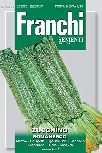 Portal Cool Franchi Semi d'Italia - Zucchine - Romanesco - Semi