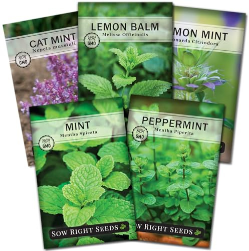 Sow Right Seeds - Mint Garden Seed Collection - Non-GMO Heirloom Herb Seeds for Planting - Common Mint, Lemon Balm, Peppermint, Lemon, Catmint - Easy to Grow, Aromatic - Ideal for Beginners