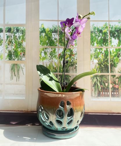 Fowargif 6.5inch Large Round Ceramic Orchid Pots with Holes, Flower Pot with Saucer for Indoor Plants Home Decorative, Round Planter,air Plant Pot