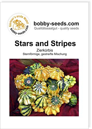 Stars and Stripes Zierkürbis von Bobby-Seeds, Portion