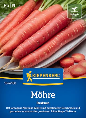 Kiepenkerl Möhrensamen Redsun 1044160 - Zylindrische Karotten Samen, Süßes Aroma, Hoher Lycopin-Gehalt, Ideal für Freilandanbau, Gemüsesamen für 3-5 lfd. Meter