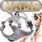 ne&no® Hundegeschirr PERSONALISIERT mit passenden Ruckdämpfer [Developed by NE&NO] Hunde Geschirrset | Brustgeschirr für kleine und große Hunde | Geschirr Hund | (L)