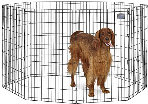 MidWest Homes for Pets, Recinto per animali in metallo, pieghevole, con porta, picchetti e rivestimento per elettrodeposizione nero, offre 1,5 metri di spazio per giocare, 106 cm di altezza