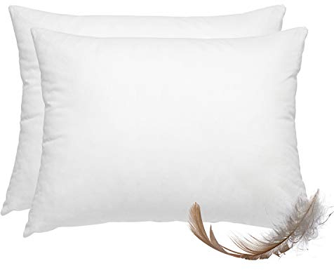 wometo 2er Set Federkissen 100% Federn 40x60-600g Oeko-TEX Sofakissen Füllkissen Bezug Baumwolle weiß/Innenkissen/Kissenfüllung/kleine Kopfkissen (2 Stück)