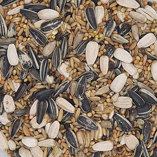 Großsittichfutter - Gladen 5kg