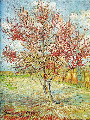 1art1 Vincent Van Gogh – blommande persikoträd, påminnelse om mauve, 1888 affisch konsttryck 80 x 60 cm