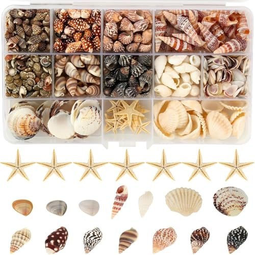 525+ Pcs Mini Shells, 12 Kinds Mixed Starfish Sea Shells for Crafting with Storage Box, 0.5-3cm Natural Seashells, DIY Shell Beads for Beach Theme Party, Wedding, Fish Tank Decorations