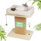Premium Kratzbaum mit Katzenbett | EXTRA-Breite Kratzsäule aus Birkenholz | 25kg Belastbar & Dickes Sisal & Bio-Leinenkissen | Einfache Montage Katzenmöbel