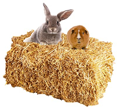 Palatina Werkstatt ® Beste Qualitäts Weizen Strohballen, frisches Stroh Neue Ernte, trocken, naturbelassen als Einstreu für Kaninchen Meerschweinchen Hasen Futter Deko (1 Ballen)