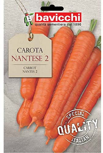 Bavicchi VCA04 Busta semi Carota Nantese