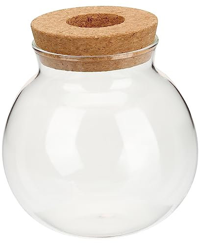 Mipcase Idroponico Per Terrario Decorativo Per e Casa Design Per Fioriere e Idrocolture