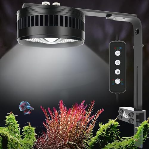 AQQA COB LED Aquarium Light with Controller, 35W Fish Tank Light with 3 Modes (White/RGB/Full Spectrum), Timer & 6 Brightness Levels, Adjustable Clamp for Freshwater Plants Fish Tanks