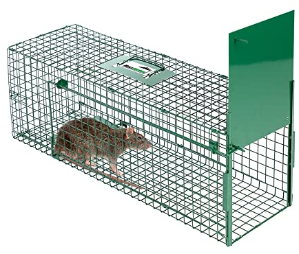 MaxxGarden Rattenfalle und Marderfalle - Mausefalle Lebend - Lebendfalle - Rattenfallen Testsieger - Mäusefalle Lebend Hochwertig - 75x25x30cm