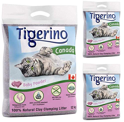 Tigerino Premium Katzenstreu, ergiebige Klumpstreu aus Naturton-Granulat: feinkörnig, schnelle und Starke Klumpenbildung, bindet Gerüche (3x12kg, Babypuder)