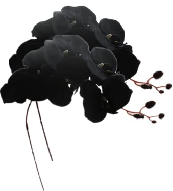 Rikyo 8 cabezas de orquídea negra sintética, ramos de 40 pulgadas, 2 tallos Phalaenopsis que no se decoloran, flores falsas para decoración del hogar, decoración de oficina, decoración de fiesta de
