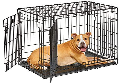 MidWest Homes for Pets Intermediate LifeStages Double Door 36-Inch Folding Dog Crate, Enhanced Security, Includes Leak-Proof Pan, Divider Panel, Handle, Rubber Feet