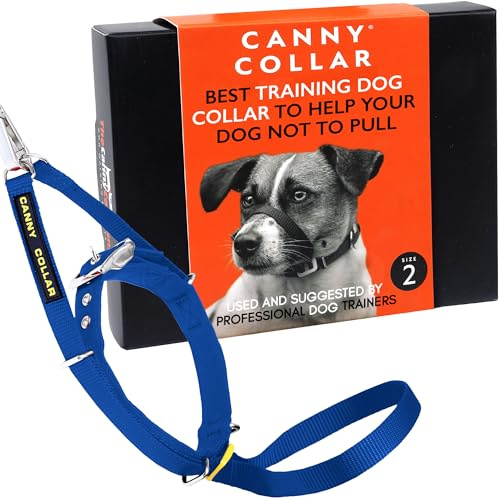 Canny Collar – Collare a Cavezza Addestramento Cane | Collare Anti‑Tiro Gentile e Sicuro | Camminate Piacevoli Senza Stress – Blu, Taglia 2