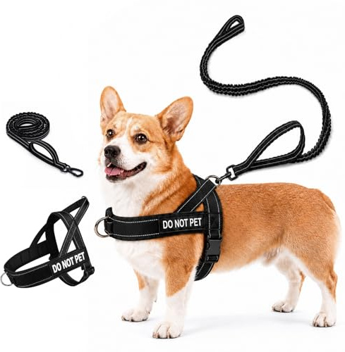 Quelcc Harnais Chien Anti Traction Réglable, Harnais pour Chien avec Poignée de Contrôle, Harnais de Sécurité Réfléchissant avec Anneau Devant et Dos, Harnais pour Chien Moyen Grand Noir S