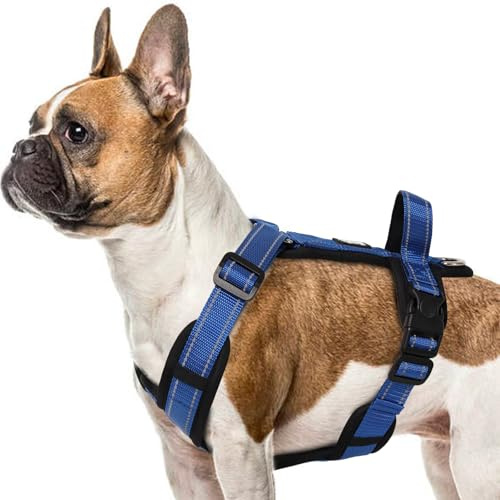 LiebeDD Pettorina per cani blu M – Pettorina per cani piccola Riflettente Anti Tiraggio Cane Pettorina Imbottita con Manico Dog Harness per cuccioli Cani di piccola e media taglia