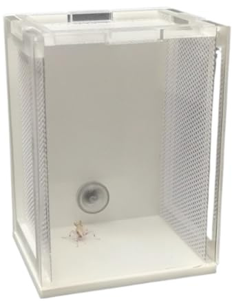 PXIWDAN Reptile Breeding Box Acrylic Mantis Terrarium Feeding Box Reptile Tank for Mantis Faunarium