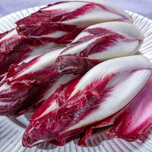 semi di cicoria perenni, rare insalata di radicchio, invernali di vecchi di resistenti 35pcs