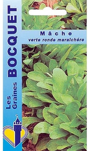 Sachet de graines de Mâche verte ronde maraîchère - 5 g - légume feuille - LES GRAINES BOCQUET