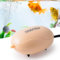 FEDOUR Mini Fish Tank Air Pump, Quiet Fish Tank Oxygen Pump with Single Outlet, Aquarium Air Bubbler with Complete Accessories for up to 75L Fish Tanks, Betta Tanks, Shrimp Tanks