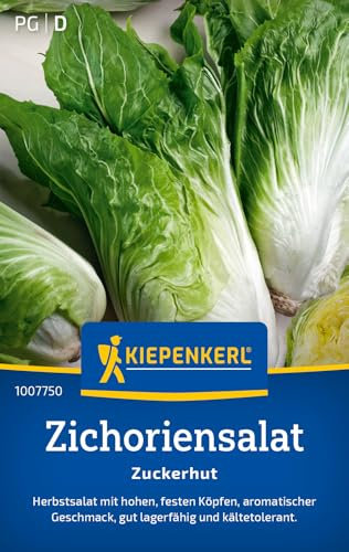 Kiepenkerl Zichoriensalatsamen Zuckerhut 1007750 - Salatsamen für einen Herbstsalat mit festen Köpfen und einem Inhalt für 200 Pflanzen - Saatgut