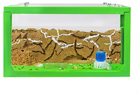AntHouse - Natürliche Ameisenfarm aus Sand | 3D Starter Kit Grün 20x10x10 cm | Inklusive Ameisen