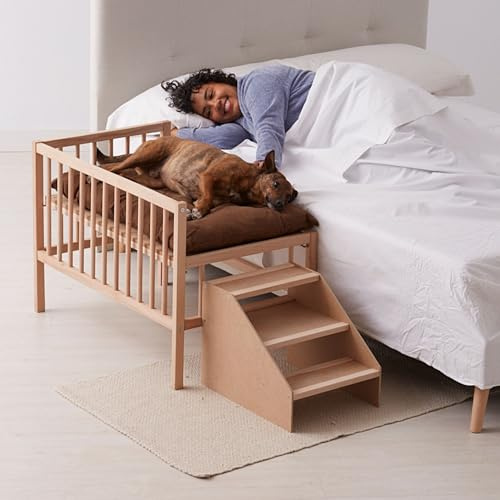 Letto rialzato Animali domestici con scala. con materasso incluso antigraffio. Colecho Accanto al tuo cane o gatto. 2 altezze. per animali domestici, medi, piccoli o anziani. Faunatic Basic CoolDreams