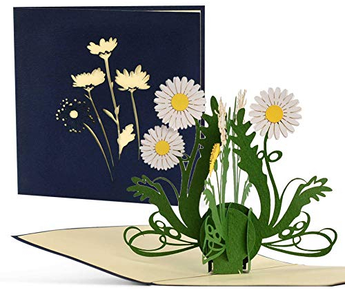 Geburtstagskarte mit Blumen, Pop up Karte für Mama oder Oma, 3D Grußkarte Gute Besserung, Glückwunschkarte Geburtstag, Geldgeschenke, F19