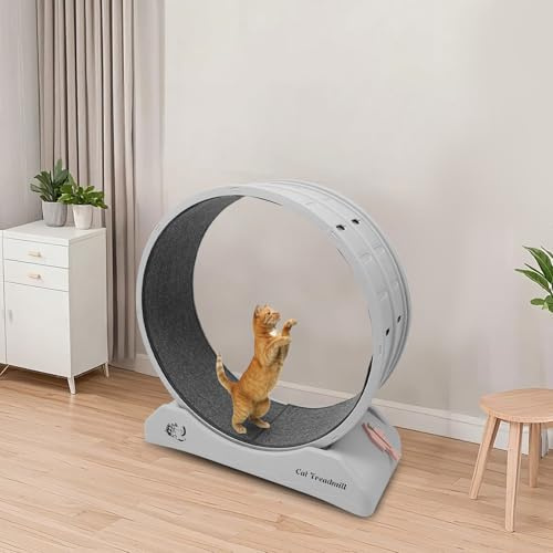 Gdetnysty Rueda para gatos con bloqueo con gran diámetro de la rueda, sin costuras, bordes lisos, 10 kg/22,05 kg, 80 x 35 x 85 cm, para gatos y perros pequeños en todos los estadios