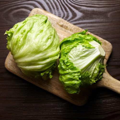 Semillas de lechuga iceberg orgánicas, semillas de jardín 300pcs