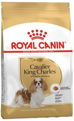 Royal Canin Croquettes Cavalier King Charles Adulte 1,5 kg