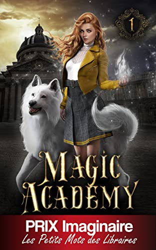 La magie oubliée (Magic Academy (édition française) t. 1)