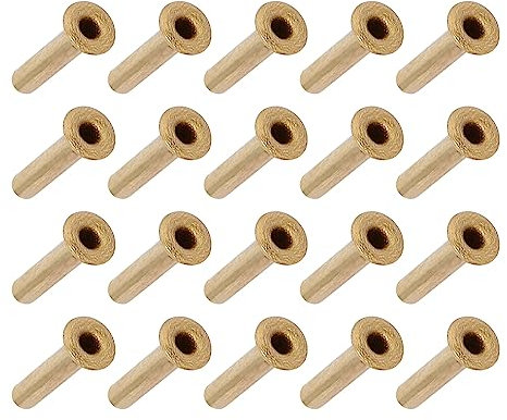 METALLIXITY Traversant Trou Rivet (M2x10mm) 100pcs, Laiton Plaqué Métal Creux Rivet Écrous - pour Cuir Toile Vêtements DIY Artisanat Fabrication, Or Ton