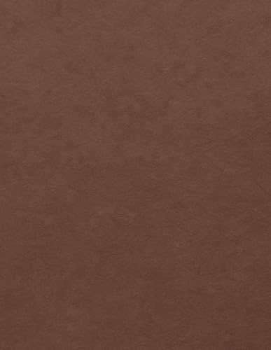 Blank Basketball Notebook – Rustic Chestnut Brown–Red Textured Professional Cover: with Full Court and Half Court Diagrams