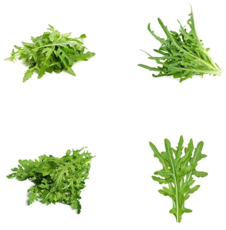 Semillas de rúcula, perenne resistente, raras de rúcula trepadoras exóticas resistentes verdes 160pcs