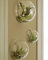 Set of 3 Bubble Terrariums Indoor Plants Planters Vase Mini Aquarium Wall Decor