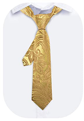 Barry.Wang Cravatta per Ragazzi Cravatta in Seta per Ragazzi Set Pochette, Paisley Quadretti Per Ballo di Fine Anno Festa Business Cerimonia, Oro, Taglia Unica